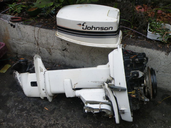 johnson 30 hp outboard motor